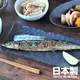 日本製 美濃燒陶瓷長盤 方盤 魚盤 燒物盤 壽司盤 串燒盤 小吃盤 日式餐盤 日式餐廳 質感餐具