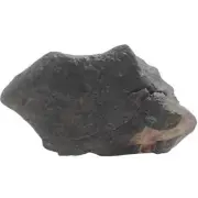 585g NWA Chondrite Meteorite TE05