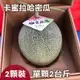 【敬農園】卡蜜拉哈密瓜(2顆裝)單顆2台斤