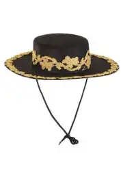 Zorro Hat