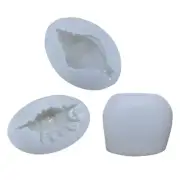 Marine Series Silicone Mold Conch for Shell Molds Handmade Soap Makin