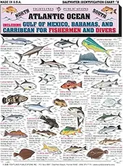 Atlantic Ocean Saltwater Identification Chart #5 (Gulf of Mexico, Bahamas, and Caribbean) - Waterproof Quick Reference Guide | Portable & Built to Last | Double-Sided & Easy to Read