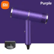 Xiaomi Negative Ionic Hair Dryer Professional High-Speed Electricturbine Drier C