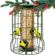 Wild Bird Feeders Squirrel Proof for outside Hanging, 1.25 Lb Capacity Steel Bir