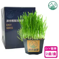 在飛比找momo購物網優惠-【源杏】DIY輕鬆玩貓草(化毛貓草/小麥種子/貓咪貓草/小麥