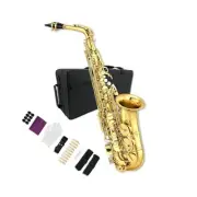 Alto Saxophone Beginner kit for Adults, Student Saxophone Alto Eb, Profession...