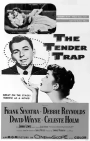 The Tender Trap poster Frank Sinatra Debbie Reynolds 1955 Old Movie Photo