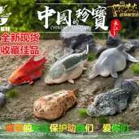 在飛比找露天拍賣優惠-【柒柒好物】動物星球2021中國的珍寶長江動物系列樹脂GK手