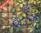 Passiflora Passionflower on a trellis Watercolor 8x10 Print