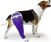 After Surgery Wear Hip and Thigh Wound Protective Sleeve for Dogs. Dog Recovery Sleeve. Recommended by Vets Worldwide (X-Large, Purple)