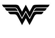 DIY superhero, Wonder Woman 10 MIL Mylar Reuse Stencil trace/drawing Size 8x10