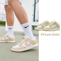 在飛比找momo購物網優惠-【NIKE 耐吉】Nike Dunk Low Team Go