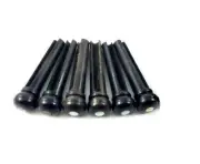 Traditional Acoustic Guitar Ebony/Abalone Bridge Pin Set BP-2855-081