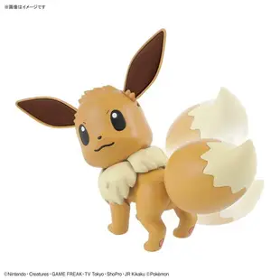 【鋼普拉】現貨 BANDAI Pokémon PLAMO 收藏集 42EEVEE 伊布 神奇寶貝 精靈寶可夢 口袋怪獸