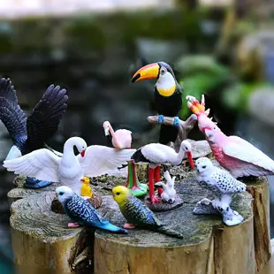 仿真野生動物模型實心飛鳥類微景觀兒童玩具飛禽老鷹鸚鵡天鵝環保