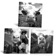 Cow Pictures Wall Decor Black and White Animal Canvas Framed Wall Art for