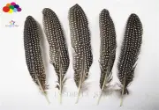 New 10-100PCS natural 20-25cm/8-10inch Pearl Pheasant Feathers