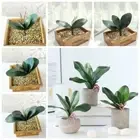 Real Touch Artificial Orchid Leaves Fake Phalaenopsis Plant Garden Decoration