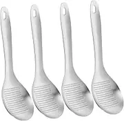 4-pc Set of Silver Stainless Steel Ginger Zester Garlic Press Fruit Veggie Grater Mini Mincer for Kitchen
