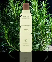 在飛比找樂天市場購物網優惠-【AVEDA 】迷迭/薄荷洗髮精1000ml 附壓頭 獨特配