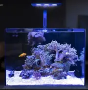 GAKO A030 Aquarium Marine Reef Light Colorful Coral Lamp Touch Control Fish Tank