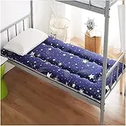 mattress mattress Tatami Mat Folding Camping Mattress Single Student Dormitory Mattress Adult Floor Mattress (Color : G Size : 120x200 Cm)