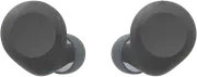 Sony Noise Cancelling Earbuds