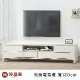 在飛比找遠傳friDay購物優惠-好厝居家具 白森 收納電視櫃 寬120cm