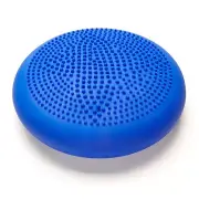 Professional Series Balance Stability Disc with Hand Pump