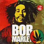 黑膠唱片 BOB MARLEY - THE BEST OF BOB MARLEY LP