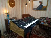Estradin Altair Solaris Real Wood Stand Side Panel Wooden Oak USSR Synthesizer