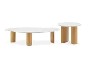 Lavine Marble Coffee Table Set