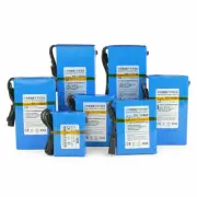 New DC Rechargeable Lithium-ion Batteries Portable Battery Pack with Charger 12V