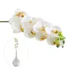 2pcs white phalaenopsis orchid fake white orchid Plant