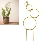 Climbing Frame for Plants Stylish Plant Display Stand Metal Turtle Planter