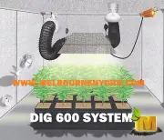 600w DIGITAL Ballast Grow Light and Ventilation System Hydroponic Tent combo