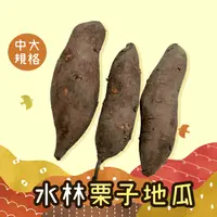 在飛比找生活市集優惠-產地直送水林栗子地瓜10-25斤 友善安全 中大規格