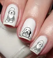 Old English Sheepdog Puppy Nail Art Decal Sticker