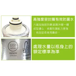 Everpure S100單道淨水器 / 無鉛龍頭