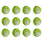 Pet Hair Remover Washing Machine,Reusable Lint Balls ,Laundry Ball for the5409