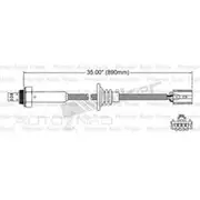 PAT Oxygen/Lambda Sensor Post Catalytic Converter - EGO-460