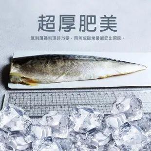 【急鮮配-優鮮配】厚片超大油質豐厚挪威薄鹽鯖魚10片(210g片 加贈10片共20片-凍)