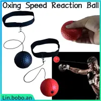 在飛比找蝦皮購物優惠-Boxing Speed Reaction Ball Box