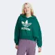 【adidas 愛迪達】上衣 女款 長袖上衣 帽T 運動 亞規 三葉草 GRADIENT HOODIE 綠 IR6043