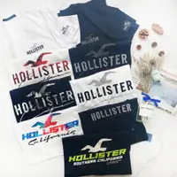 在飛比找蝦皮商城優惠-Hollister HCO 短袖t恤 刺繡款 海鷗 短袖 t