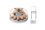 12 Eggs Incubator Automatic Hatching Chicken Quail Duck Hatcher Turner Transparent Humidity Temperature Control