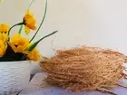 Coconut Husk Fiber Eco Friendly Growing Media for Orchid Anthurium Hoya Plant