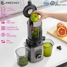 AMZCHEF Cold Press Juicer Whole Fruit Slow Juicer Vegetable Extractor Processor