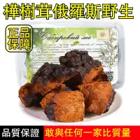 在飛比找蝦皮購物優惠-俄羅斯正品 樺樹茸 原裝野生進口白樺茸黑金樺褐孔菌白樺茸樺樹