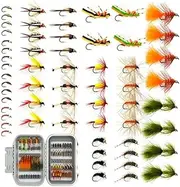 BRAIRIA 60/88PCS Spring-Ready Fly Fishing Flies Kit | Hand-Tied Nymphs, Dry & Wet Flies for Trout & Bass | Seasonal Streamers & Terrestrials | Durable Fly Case Gift Box